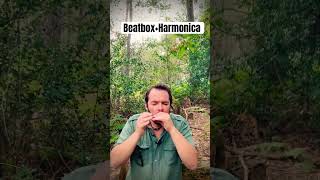 Beatbox  Harmonica [upl. by Ungley]