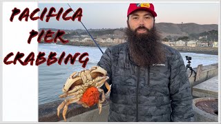 Pacifica Pier Crab Snaring for Dungeness Crab 2023 [upl. by Steffin]