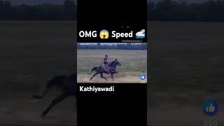 OMG 😳 speed 🚄 horse trendingshorts viralshorts new kathiyawadihorse horsefan horselover new [upl. by Tomi]