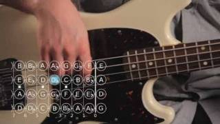 How to Play a Diminished 7th Chord  Bass Guitar [upl. by Nollaf]