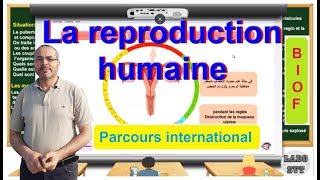 la reproduction humaine [upl. by Ahsiken]