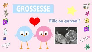 ✨ Enfin la révélation  Fille ou garçon 👶 ✨ [upl. by Imaj]