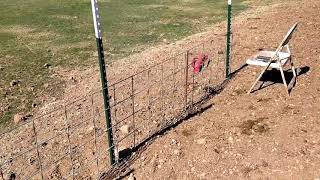 How to Build Tortoise Fence  Enclosure for large Sulcata Tortoises [upl. by Julius]