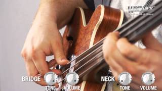 The Warwick Star Bass II Bubinga  Product Demo [upl. by Nalrah293]