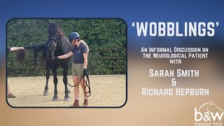 Wobblings with Sarah Smith amp Richard Hepburn  Equine Neurology  BampW Equine Hospital [upl. by Alisan]