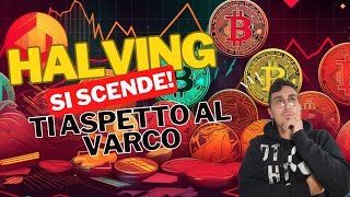 Quale CRYPTO ALTCOIN acquisterò fino all HALVING di BITCOIN SI SCENDE ANCORA [upl. by Suoirrad]