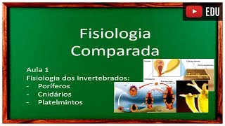 Aula 1 Fisiologia Comparada [upl. by Amaty]