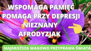 Szafran wspomaga pamięć pomaga przy depresji łagodzi stres poprawia nastrój i sen [upl. by Tniassuot642]