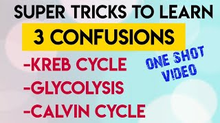 Trick To Learn KREB CYCLEGLYCOLYSISCALVIN CYCLE In One Video  Neet [upl. by Wrench]