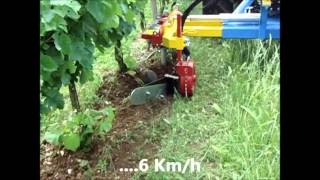 Attrezzatura per vigne con doppia lama interfilare idraulica a dx e a sx modello EXPO DOPPIO [upl. by Thirion571]