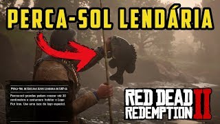 RED DEAD REDEMPTION 2 – PERCASOL DE GUELRAS AZUIS LOCALIZAÇÃO DE PEIXES LENDÁRIOS  RDR2 100 [upl. by Horodko428]