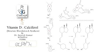 Vitamin D Calciferol  Structure Elucidation amp Synthesisthebigconceptpgtopics6291 [upl. by Iznyl]