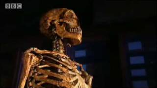 Highpitched voice theory  Neanderthal  BBC science [upl. by Monetta535]