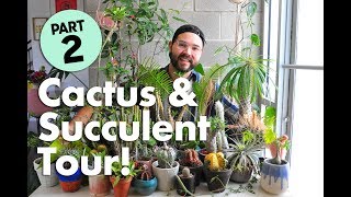 Cactus and Succulent Tour Part 2 • Baetanical [upl. by Vasiliu]