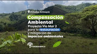 Compensación Forestal y Restauración Ambiental en Dabeiba Antioquia [upl. by Nim]