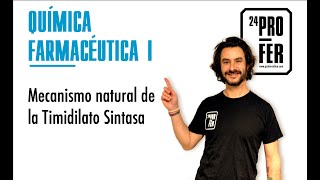 Mecanismo natural de la timidilato sintasa Transformación del ácido desoxiuridílico en timidílico [upl. by Atse]