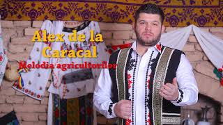 Alex de la Caracal  Melodia agricultorilor  Live 2018 [upl. by Eldwin]