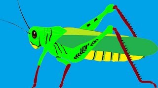 Sonido del saltamontes  Sound of the Grasshopper [upl. by Anilra]