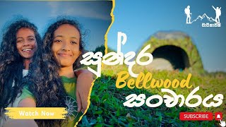 සුන්දර Bellwood වල රාත්‍රියක්  Bellwood Night Camping [upl. by Philip]