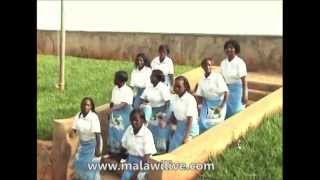 Chitsitsimutso Choir Mtima Wanu Usavutike Malawi Gospel Music [upl. by Loveridge]