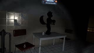 Ty Plays Haunted Asylum VRChat [upl. by Nelyag]