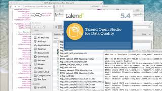 Data Profiling using Talend Open Studio for Data Quality [upl. by Neeneg]