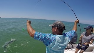 Tarpon fishing with Capt Todd Romine Anna Maria Island FL [upl. by Lasorella418]