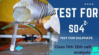 Test for sulphate So42 anion salt analysis for 11th and 12th saltanalysis a2zpractical991 [upl. by Narah]