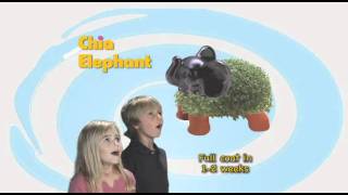 ChChChChia  Chia Pet  The Gift That Grows [upl. by Selmore]