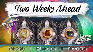 🌈 Pick A Card 🔮 ✶ Your Next Two Weeks ✶ 🦋 Love Career Truth amp Purpose ✶ Bits amp Bobs Div [upl. by Ahsiekyt919]