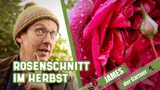 Rosen im Herbst und Winter nur wenig schneiden  James der Gärtner [upl. by Tedra]