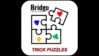 TRICK PUZZLE  12 [upl. by Eelta]