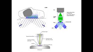 Confocal and SNOM Microscopy [upl. by Slemmer]