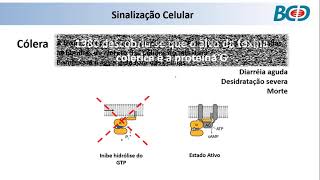 Sinalização Celular  Parte 3 de 5 [upl. by Aicekal]