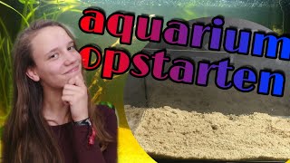 Een NIEUW AQUARIUM opstarten Stap voor Stap een Aquarium indraaien Nickey [upl. by Aihk445]