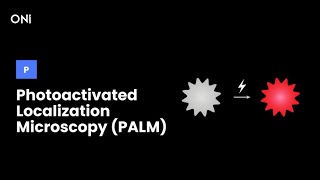 What is Photoactivated Localization Microscopy PALM [upl. by Hut]