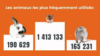 Derniers chiffres de lexpérimentation animale  Bilan du GRAAL [upl. by Goulder]