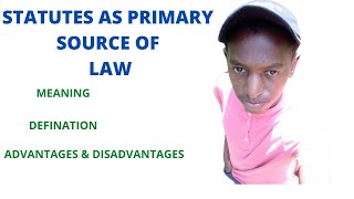 STATUTE  MEANING OF STATUTE  ADVANTAGES AND DISADVANTAGES OF STATUTE [upl. by Hasila]