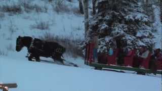 quotHorse Drawn Sleigh Rides and Dinner with Bearcat Stables Vail and Beaver Creek Coloroadoquot [upl. by Esille979]