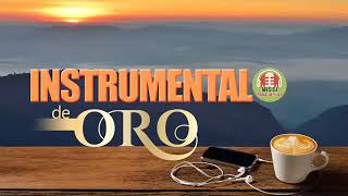 Musica Instrumental de Oro Para Escuchar Grandes Hits Instrumentales [upl. by Virnelli574]