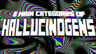 The 6 MAIN Categories of Hallucinogens [upl. by Akessej]