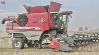 MASSEY FERGUSON 9520 Combine on Tracks [upl. by Enamart]