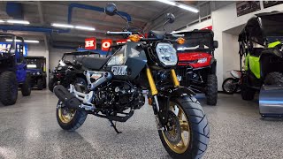 All New 🚨2024 Honda Grom SP Walk Around🚨 [upl. by Grant]