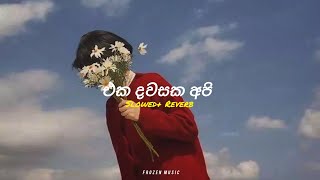 Eka Dawasaka Api  එක දවසක අපි   Slowed  Reverb  Official Music Video song remix viralvideo [upl. by Hazelton]