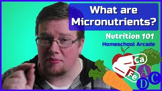 What are Micronutrients What are Vitamins amp Minerals [upl. by Terrab]