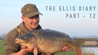 THE ELLIS DIARY  WINTER CARP FISHING ACTION AND A DEATH ON THE NOTORIOUS PIT [upl. by Dania]