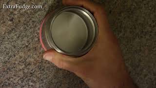 Foogo by Thermos LeakProof SS 10 oz Food Jar Review [upl. by Murage]