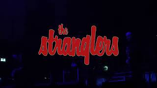 The Stranglers live in Aberdeen 2022 [upl. by Omrellug]