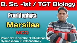 MarsileaPteridophytamost important MCQTGT PGT BiologyB Sc 1st year [upl. by Lemay]