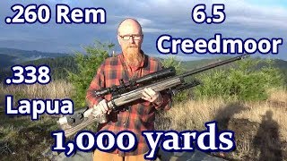 1000 yards 260 Rem 338 Lapua 65 Creedmoor  Long Range Shooting [upl. by Auqinahc]